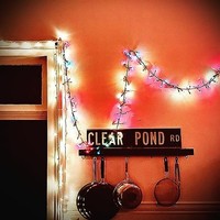 Kristin Hersh - Clear Pond Road - Vinyl Record Vl - F600Z