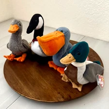 Ty Beanie Babies Birds Lot of 4 NWT Scoop Pelican Honks & Loosy Goose, Jake Duck