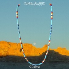 Native American Turquoise Heishi Necklace