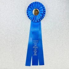 Prize Ribbon Rosette Yavapai County Fair Best of Show GOLDEN AGE HOMEMAKING ARTS