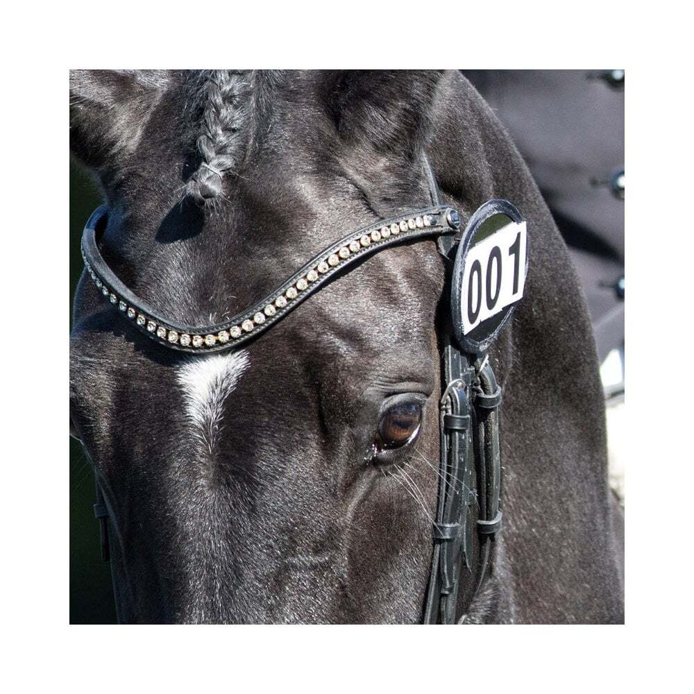 Equetech Bridle Number Holder - Black Patent