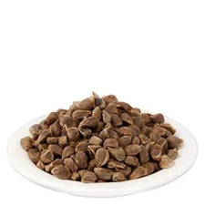 Beej Bidhara Asli - Vidhara Seeds - Vruddhadaru Whole Herbs