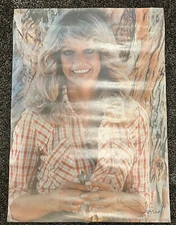 Vintage 1977 FARRAH FAWCETT Poster 20 x 28 FORD Service Promo PRO ARTS