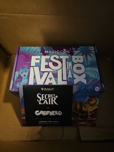 Mtg Festival in a Box | eBay