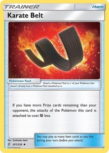 Karate Belt 201/236 Unified Minds Reverse Holo