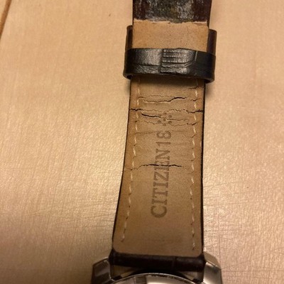 Citizen E101 S108144 Eco Drive Solar Wristwatch Timepiece Analog 