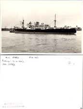 UK MV EBRO 1957 Royal Mail E Ship Ocean Nautical Black & White Vintage Old Photo