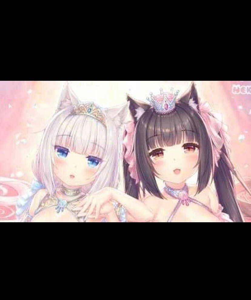 タペストリー nekopara Nekopara 2020 Vanilla And Chocola A1 Tapestry By Sayori NEKO WORKs