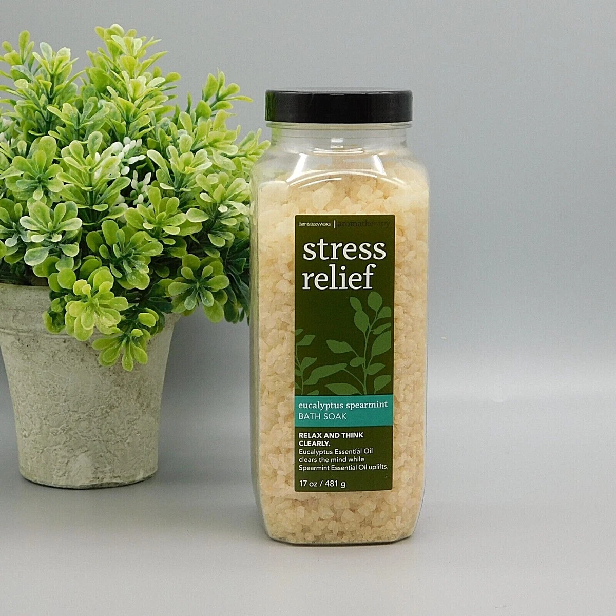 Bath Body Works Aromatherapy Stress Relief Eucalyptus Spearmint