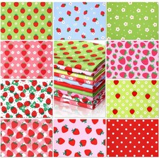 10 Pcs Strawberry Quilting Fabric 18 x 22 Inch Strawberry Precut Fabric Squar...