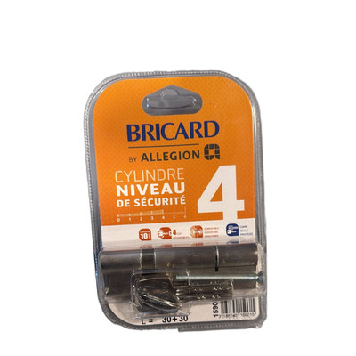 Bricard Allegion Profilzylinder 30/30 mm 4 Schlüssel Silber Neu