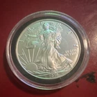 United States Mint American Eagle 2019 1 oz .999 Silver Coin