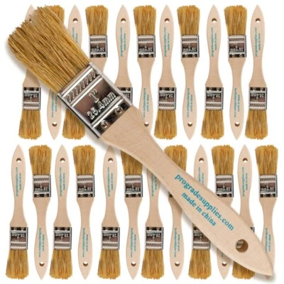 PROGRADE SUPPLIES 24 Pk- 1 inch Chip Paint Brushes for Paint, Stains,Varnishes,Glues,Gesso