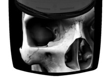 Grayscale Black Realistic Large Skull Hood Wrap Vinyl Car Truck Graphic Decal US
