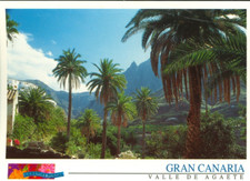 Espana - Spagna - Gran Canaria - Valle de Agaete