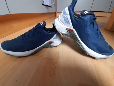 Salomon Alpha Sportschuhe, Freizeit, Wanderschuhe, Blau, Herren, Größe 40