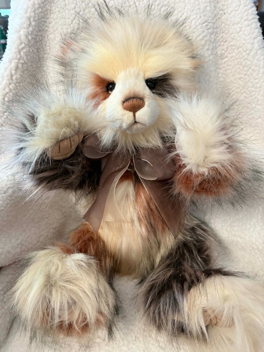 BIG BROTHER CHARLIE BEARS 2022 23