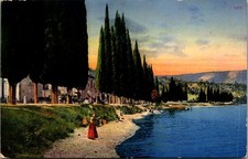 LAKE GARDA Salo CYPRESS TREES Italy Postcard
