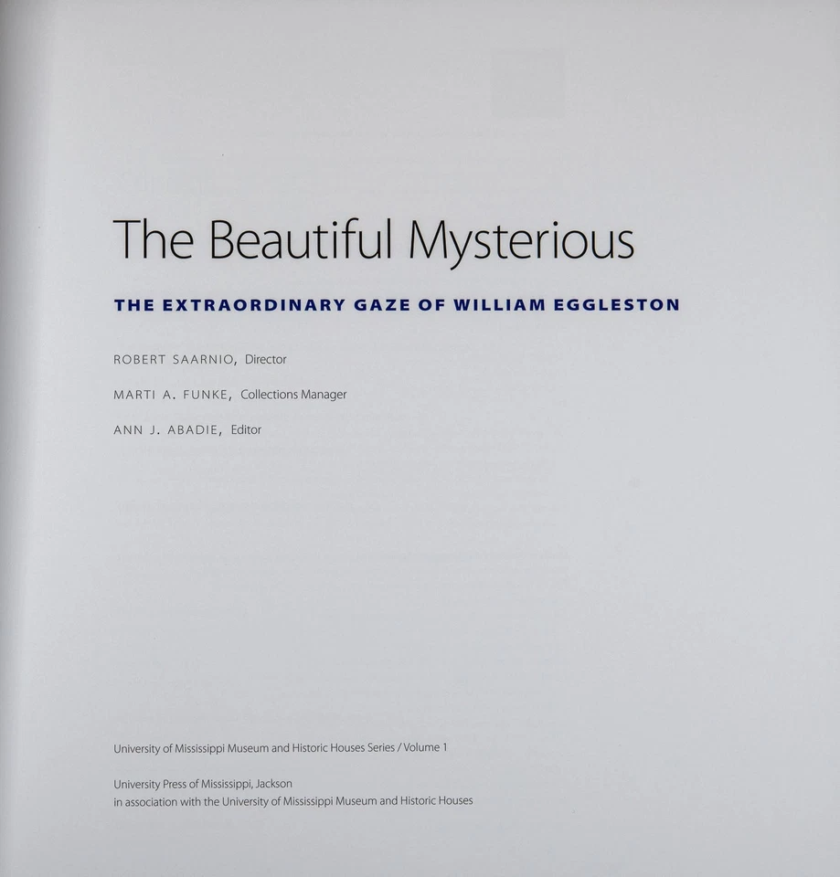 Ann J Abadie / Beautiful Mysterious The Extraordinary Gaze of William 1st 2019 - Image 3 of 4