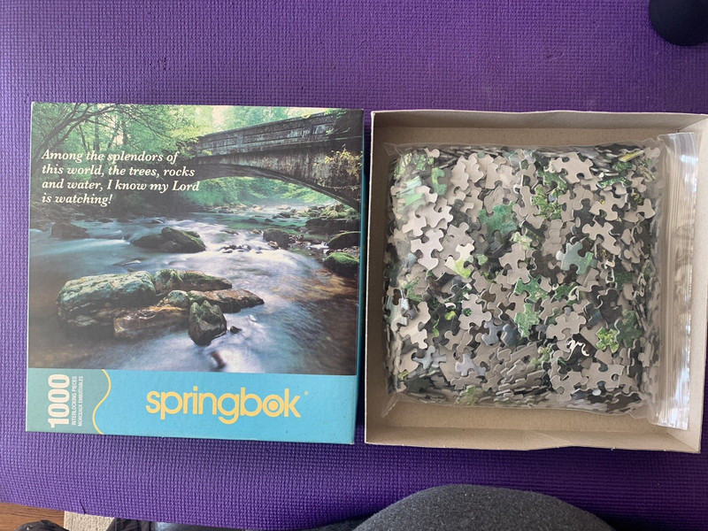 Vintage Springbok Puzzle (Among The Splendors) 1000pcs