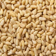 Premium Quality Organic Raw Pine Nuts Whole Pignolias Kernel Large Kosher