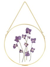 Handmade Glass Frame for Pressed Flowers, Wall Hanging Brass Floating Double ...