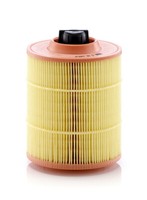 Mann-Filter C16142/2 Luftfilter FüR Galaxy Mondeo S-MAX 2.2D 03.08-06.15 Ford