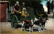 PC DOG CARTS DOGCARTS LAITIERE FLAMANDE (a46974)