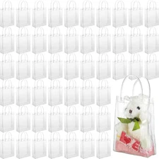 Saintrygo Clear PVC Gift Bags, Reusable with Handles, for Weddings & Parties, 9x