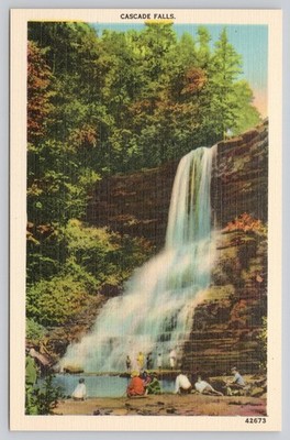Cascade Falls Asheville NC Vintage Postcard Waterfall Scenic View 1920s-40s