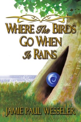 WHERE THE BIRDS GO WHEN IT RAINS By Jamie Wesseler **BRAND NEW**