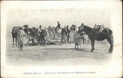 Oudja Mahalla du Sultan Pferd