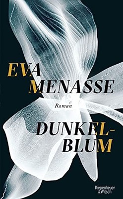Eva Menasse Dunkelblum: Roman (Hardback) (UK IMPORT)