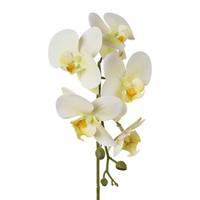 Kunstblume Phalenopsis (Orchidee), 5Er Set, Farbe GrüN, HöHe Ca. 45 Cm
