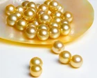 wholesale 6pcs 6mm natural south sea genuine gold round loose pearl undrilled