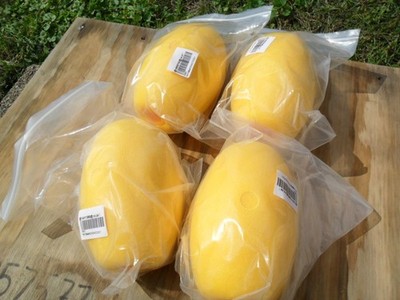 EVA Elastic Buoy Anchoring System Suitable for Boats, Swim Lanes, Fishing, +