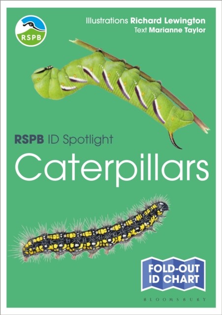 RSPB ID Spotlight - Caterpillars by Marianne Taylor (Fold-out book or chart)