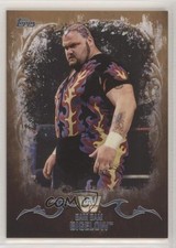 2016 WWE Undisputed Tag Team Championship Bronze 37/99 Bam Bigelow #43 Patch 0ad