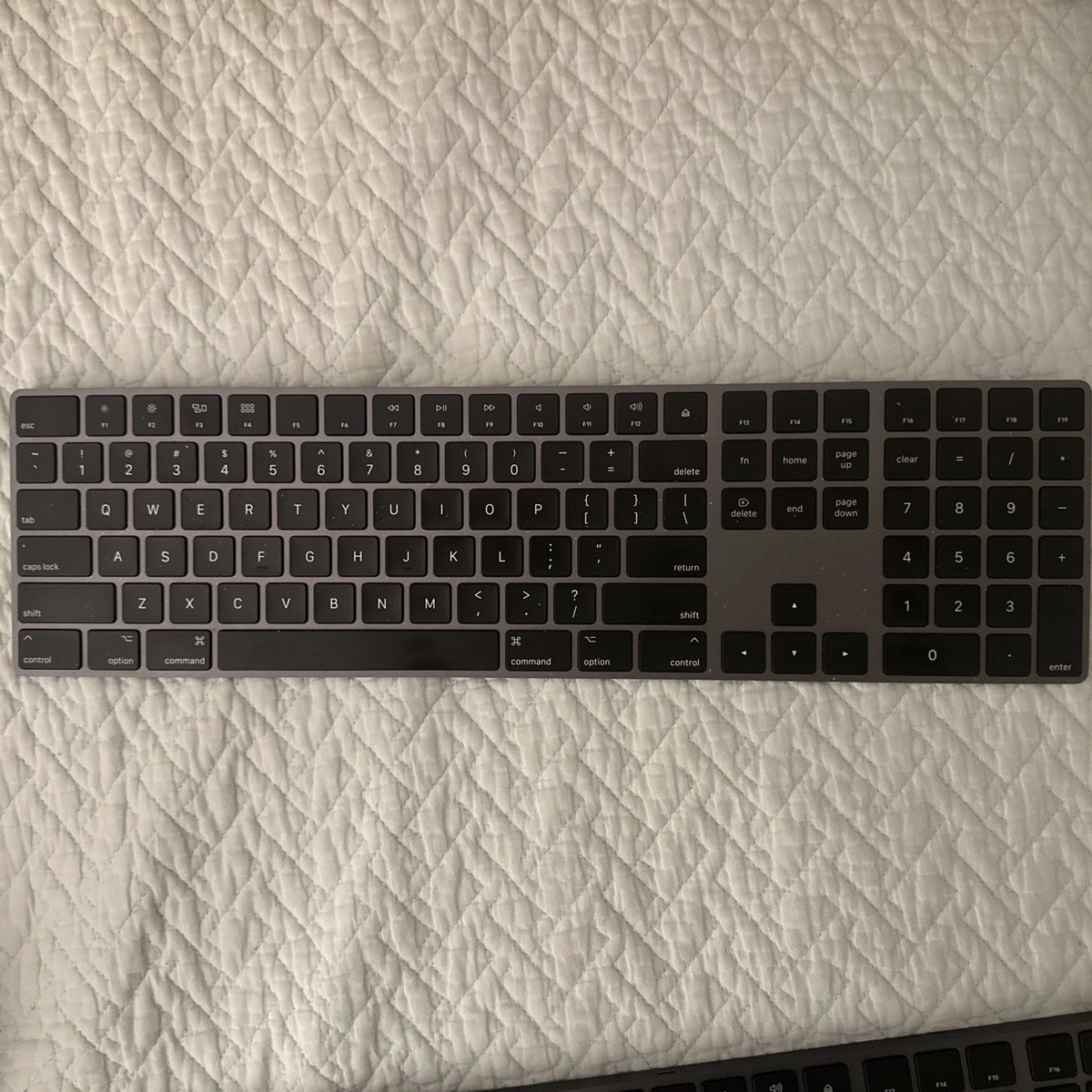 Apple Magic Keyboard ブラック QWERTY Apple Magic Wireless Keyboard