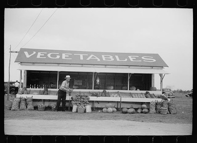Vegetable Stand along Highway,Rice County,Minnesota,MN,Arthur Rothstein,FSA,1