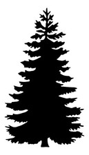 Really Great Stencils, Evergreen Tree 7 Stencil, 4x7", Spruce Conifer, Christmas