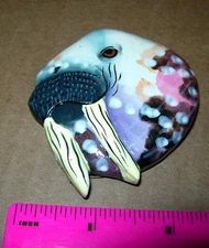 Walrus on a Wood magnet Beautifully colored wooden magnet - hand painted magnet