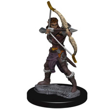 Female Elf Ranger Premium painted D D Miniature Dungeons Dragons fighter rogue Z