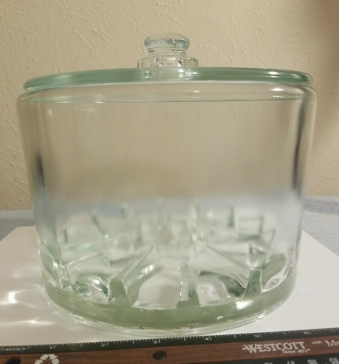 VINTAGE Glass Sanitary Cheese Preserver Jar & Lid 7.5" Diameter 5" Tall