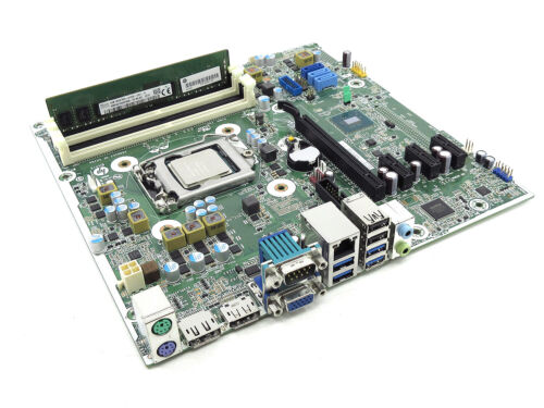 HP ProDesk 600 G2 SFF Motherboard Spitfire w/ CPU + DDR4 795231 795971  TESTED | eBay