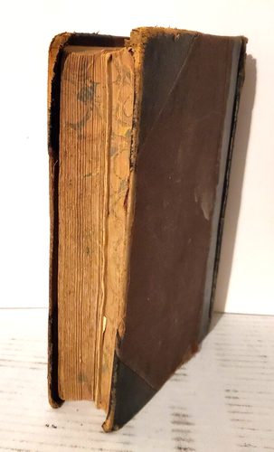 PLAIN HOME TALK - MEDICAL COMMON SENSE, 1870, Foote, Leather, Illustrated - Imagen 7 de 9