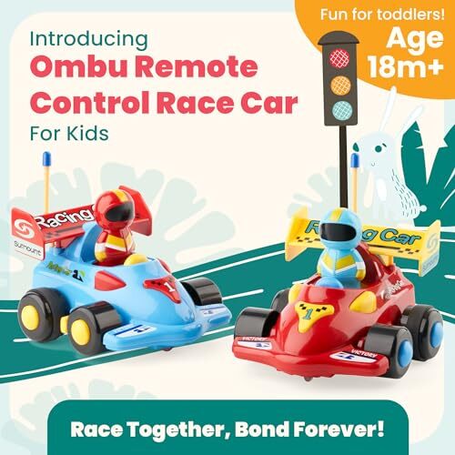 Set of 2 Remote Control Car, Remote Control Toys, Toddler Boy Toys, Blue/Red - Picture 6 of 8