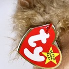 Bild 6 von 9