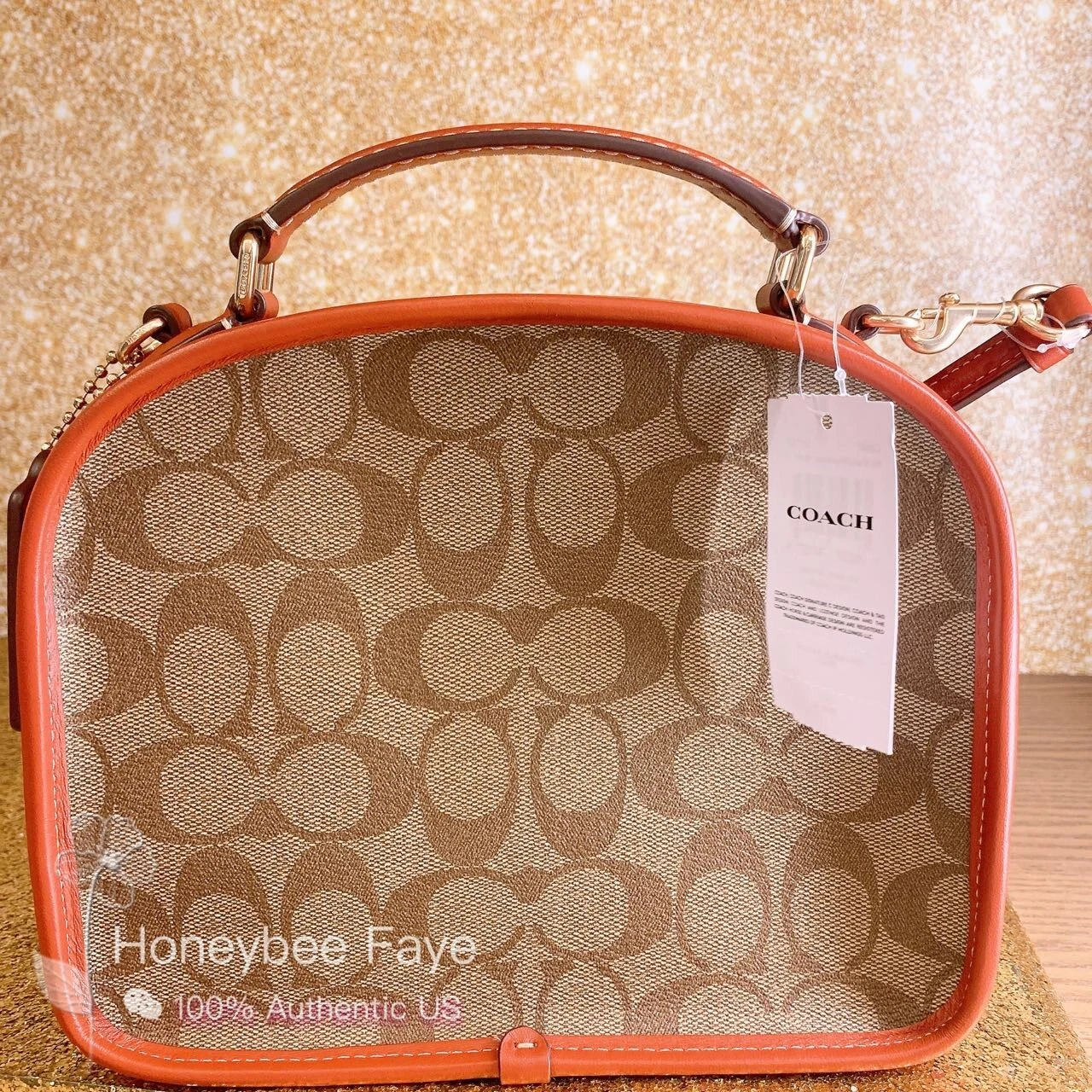 Secchio pranzo nuovo con etichette Coach X Peanuts in tela firmata con toppe CE847