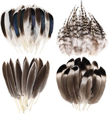 120Pcs Natural Feathers Small 4 Styles Bulk for DIY Crafts Hat Wedding Home Part